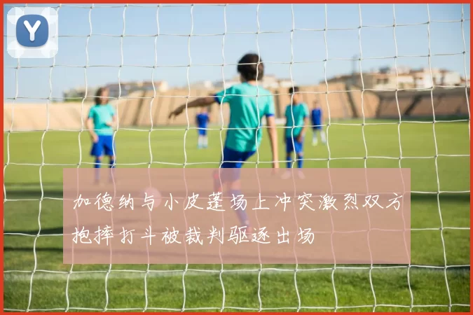 加德纳与小皮蓬场上冲突激烈双方抱摔打斗被裁判驱逐出场